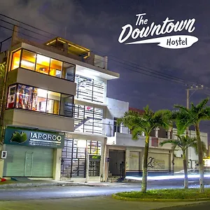 https://downtown-hostel-chetumal.quintano-roohotels.com